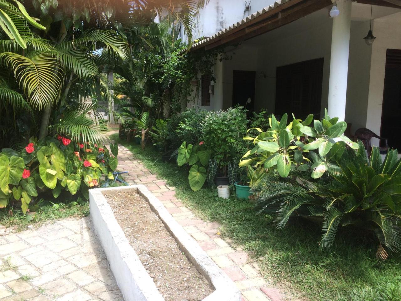 Hotel View Point Tissamaharama Exterior foto