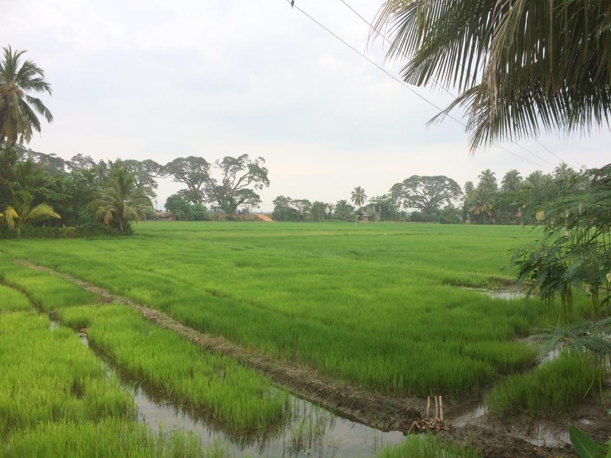 Hotel View Point Tissamaharama Zimmer foto